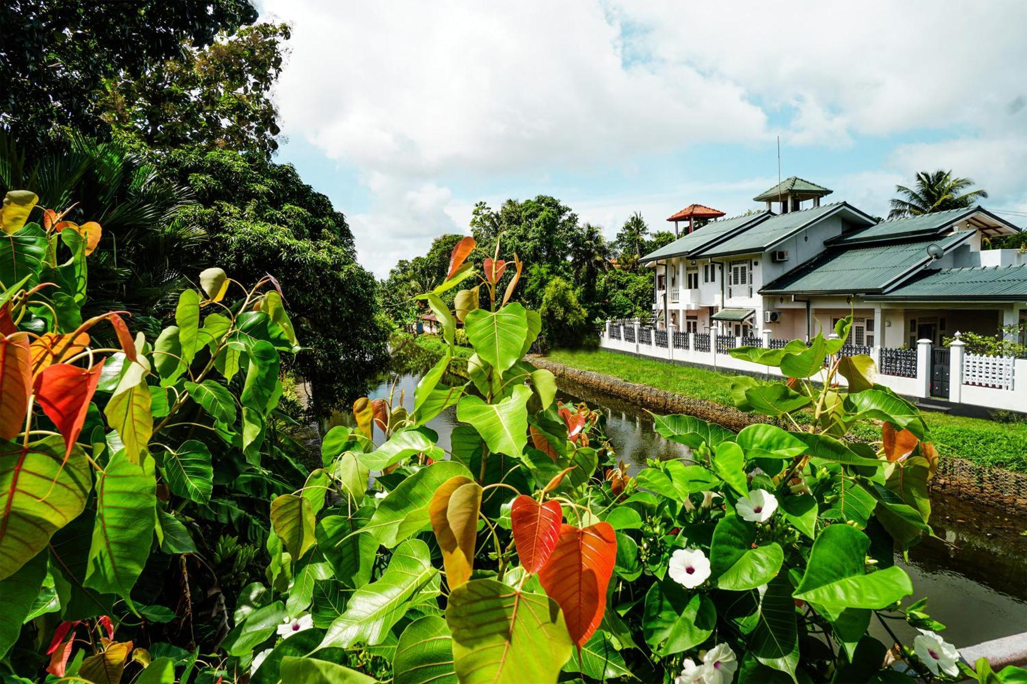 Ayur Ayur White Sail Villa Dalupotha Exterior photo